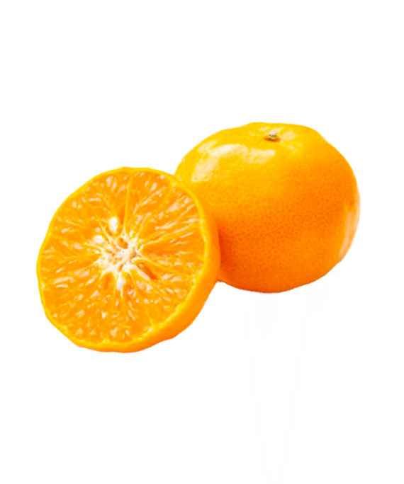 MANDARINA Satsuma Owari